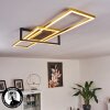 Omega Plafoniera LED Nero, 1-Luce