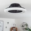 Piraeus ventilatore da soffitto LED Nero, 1-Luce, Telecomando