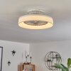 Moli ventilatore da soffitto LED Bianco, 1-Luce, Telecomando