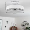 Moli ventilatore da soffitto LED Bianco, 1-Luce, Telecomando