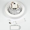 Moli ventilatore da soffitto LED Bianco, 1-Luce, Telecomando