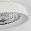Moli ventilatore da soffitto LED Bianco, 1-Luce, Telecomando
