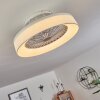 Moli ventilatore da soffitto LED Bianco, 1-Luce, Telecomando