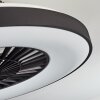 Qualiano ventilatore da soffitto LED Nero, Bianco, 1-Luce, Telecomando