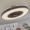 Qualiano ventilatore da soffitto LED Nero, Bianco, 1-Luce, Telecomando