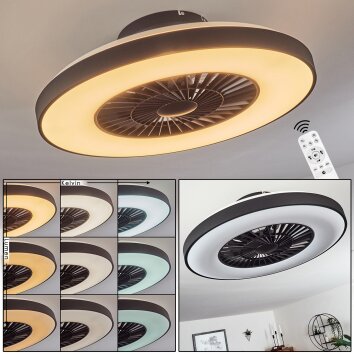 Qualiano ventilatore da soffitto LED Nero, Bianco, 1-Luce, Telecomando