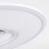 Marmorta ventilatore da soffitto LED Bianco, 1-Luce, Telecomando