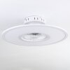 Marmorta ventilatore da soffitto LED Bianco, 1-Luce, Telecomando