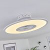 Marmorta ventilatore da soffitto LED Bianco, 1-Luce, Telecomando