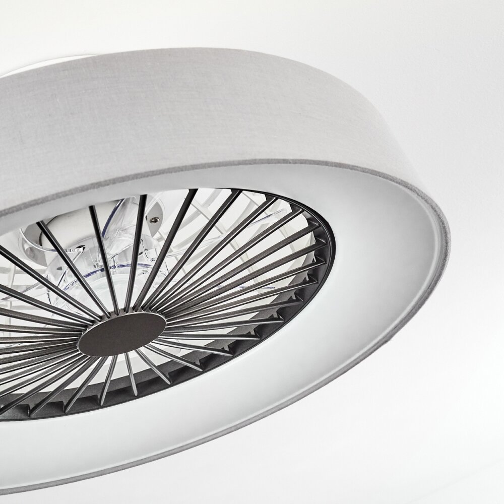 Moli ventilatore da soffitto LED Grigio, Bianco H3416617