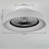 Moli ventilatore da soffitto LED Grigio, Bianco, 1-Luce, Telecomando