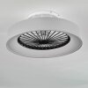 Moli ventilatore da soffitto LED Grigio, Bianco, 1-Luce, Telecomando