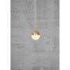 Nordlux CONTINA Lampada a Sospensione Ottone, 1-Luce