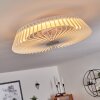 Rivarotta ventilatore da soffitto LED Bianco, 1-Luce, Telecomando