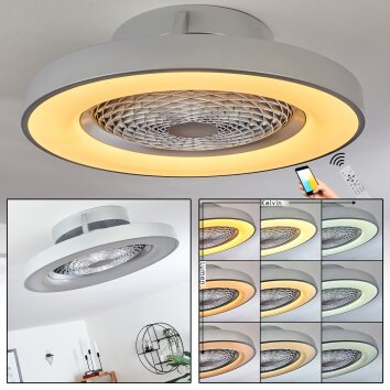 Penon ventilatore da soffitto LED Argento, 1-Luce, Telecomando