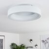 Pine Plafoniera LED Bianco, 1-Luce