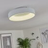 Pine Plafoniera LED Bianco, 1-Luce