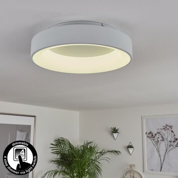 Pine Plafoniera LED Bianco, 1-Luce