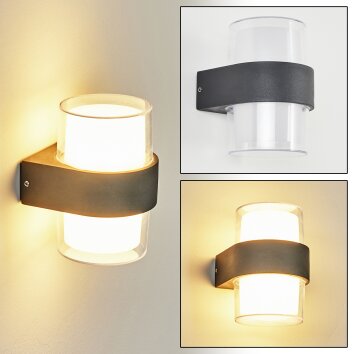 Cesta Applique da esterno LED Nero, 2-Luci