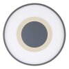 Globo NORA Plafoniera LED Antracite, 1-Luce, Telecomando