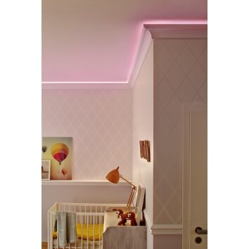 LEDVANCE STRIP NEON Strisce LED Bianco, 1-Luce