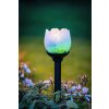 Eglo BLÜTE Lampada solare LED Nero, 2-Luci, Cambia colore