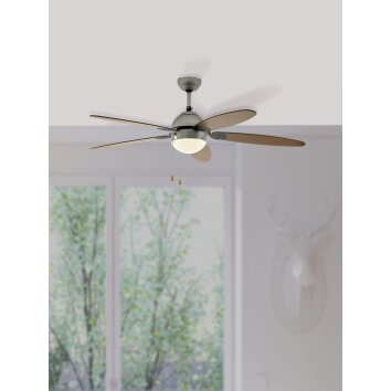 Eglo SUSALE ventilatore da soffitto Nichel opaco, 1-Luce