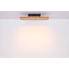 Globo DOLORES Lampadario a sospensione LED Legno scuro, Nero, 1-Luce