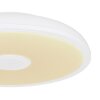 Globo RAFFY Plafoniera LED Nero, Bianco, 1-Luce, Telecomando, Cambia colore