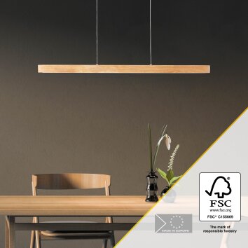 Brilliant Ainara Lampada a Sospensione LED Legno chiaro, Nero, 1-Luce