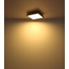 Globo DORO Plafoniera LED Aspetto del legno, Nero, 1-Luce