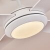 Tjerne ventilatore da soffitto LED Bianco, 1-Luce