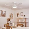 Tjerne ventilatore da soffitto LED Bianco, 1-Luce