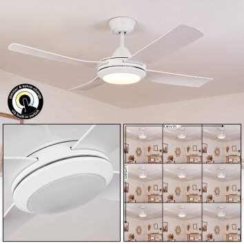 Tjerne ventilatore da soffitto LED Bianco, 1-Luce