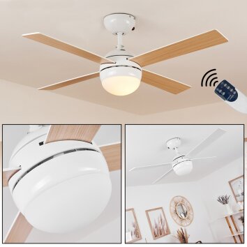 Hausvik ventilatore da soffitto Marrone, Bianco, 1-Luce, Telecomando