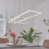 Omega Lampada a Sospensione LED Bianco, 1-Luce