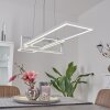 Omega Lampada a Sospensione LED Bianco, 1-Luce