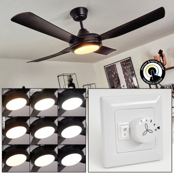 Tjerne ventilatore da soffitto LED Nero, 1-Luce