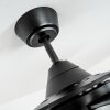 Tjerne ventilatore da soffitto Nero