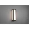 Trio Fuerte Applique da esterno LED Antracite, 1-Luce