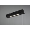 Trio Aick Lampada a Sospensione LED Nero, 1-Luce