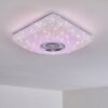 Lovisa Plafoniera LED Cromo, Bianco, 1-Luce, Telecomando, Cambia colore