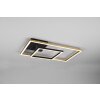 Reality Padella Plafoniera LED Ottone, 1-Luce