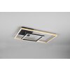 Reality Padella Plafoniera LED Ottone, 1-Luce