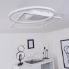 Loftheim Plafoniera LED Cromo, Bianco, 1-Luce