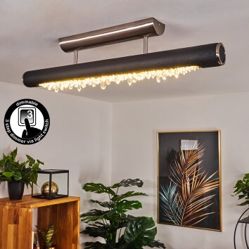 Rodeche Plafoniera LED Nichel opaco, Nero, 1-Luce