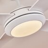 Tjerne ventilatore da soffitto LED Bianco, 1-Luce, Telecomando