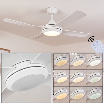 Tjerne ventilatore da soffitto LED Bianco, 1-Luce, Telecomando