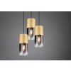 Trio-Leuchten Robin Lampada a Sospensione Ottone, 1-Luce Trio-Leuchten Robin Lampada a Sospensione Ottone, 1-Luce