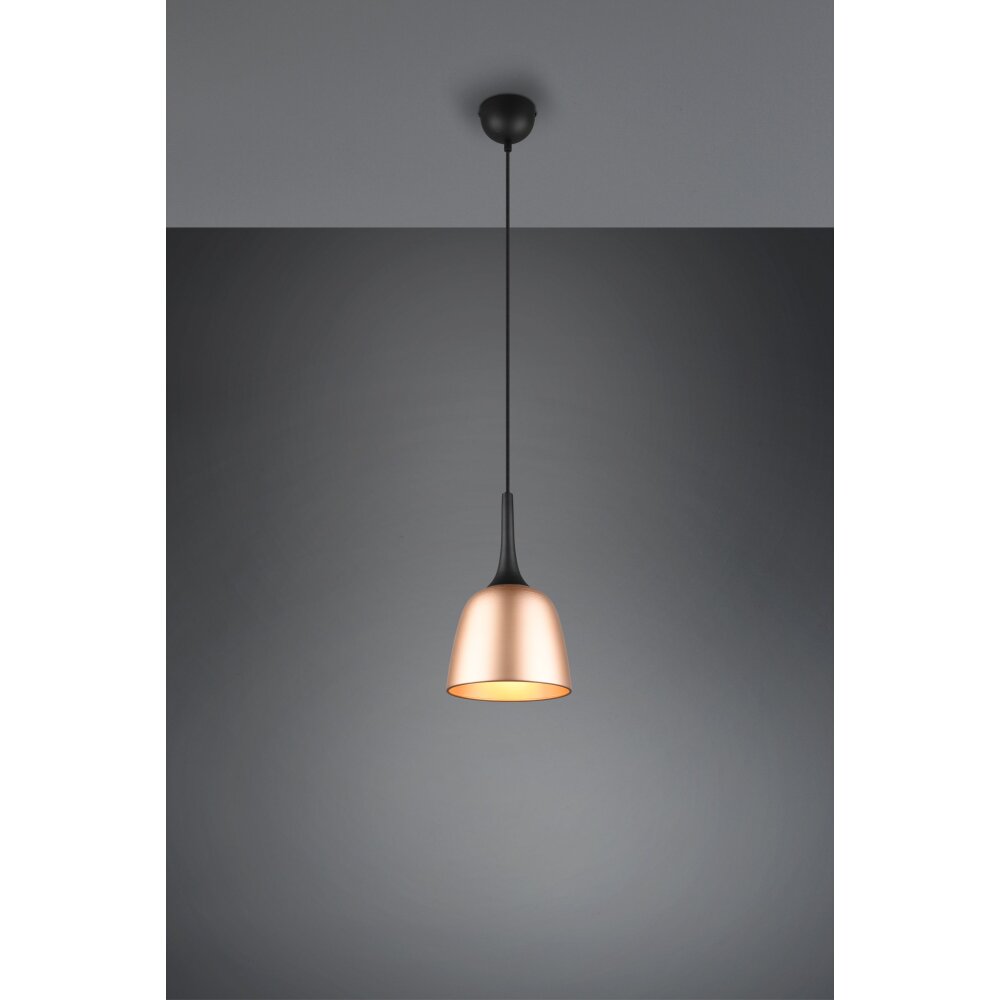 Trio-Leuchten Chiron Lampada a Sospensione Ottone, 1-Luce main product photo